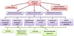                            Структура МБОУ "Правовой лицей"
Управление осуществляется на основе сочетания принципов единоначалия и коллегиальности.
Единоличным исполнительным органом Учреждения является прошедший соответствующую аттестацию директор,  который назначается и освобождается от должности Учредителем, либо лицо, его замещающее.
Директор осуществляет свою деятельность на основании заключенного с Учредителем срочного  трудового договора. Коллегиальными органами управления Учреждением,  являются:  
1	Общее собрание работников Учреждения;
2	Педагогический совет;
3	Совет школы;
4	Попечительский совет.
	Коллегиальные органы управления не выступают от имени  Учреждения  в отношениях с государственными органами, органами местного самоуправления, общественными объединениями и иными организациями.

